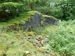 
Cnwc (pronounced 'Genook') Farmstead, Nant Carn, Cwmcarn, July 2011